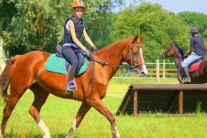 Stage d’équitation ado dans l’Yonne de 11-16 ans