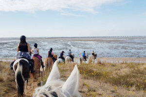 Randonnée à cheval sur l’île d’Oléron